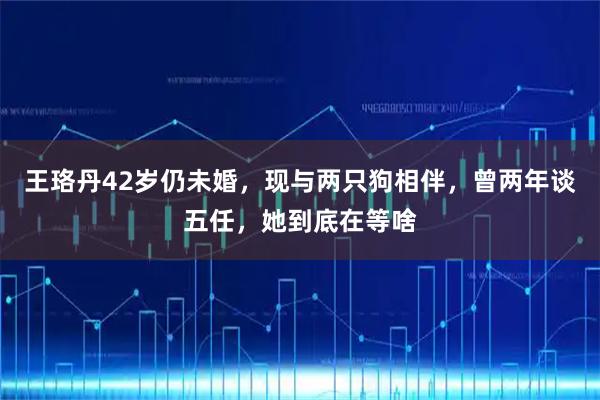 王珞丹42岁仍未婚,现与两只狗相伴,曾两年谈五任,她到底在等啥