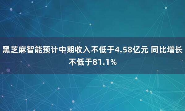 黑芝麻智能预计中期收入不低于4.58亿元 同比增长不低于81.1%
